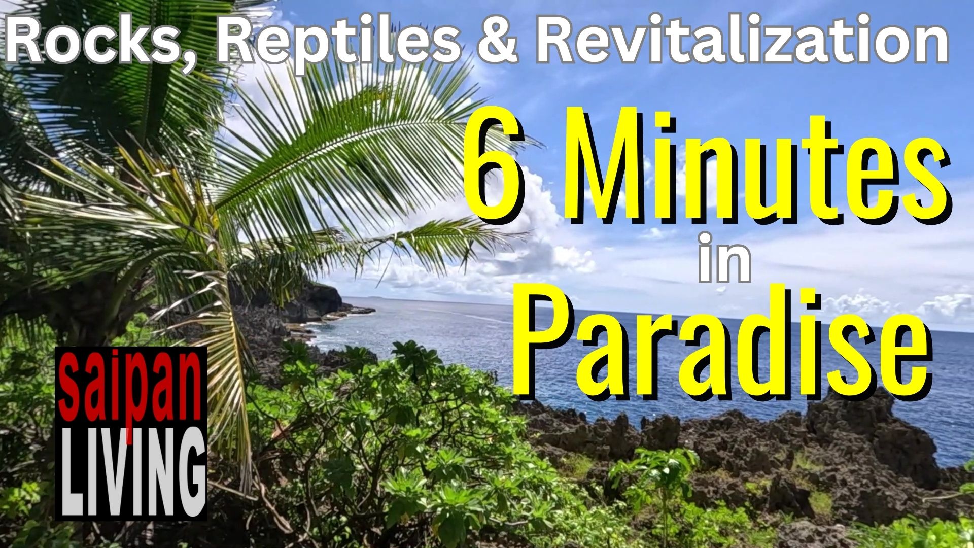Reptiles, Rocks & Revitalade 6 Minutes in Paradise Discover Saipan