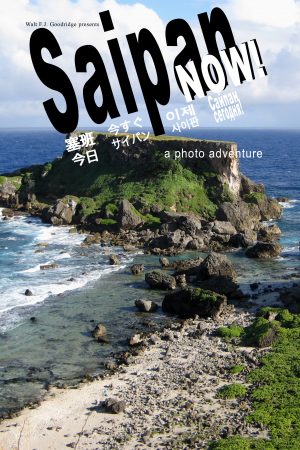 Saipan Now Paperback